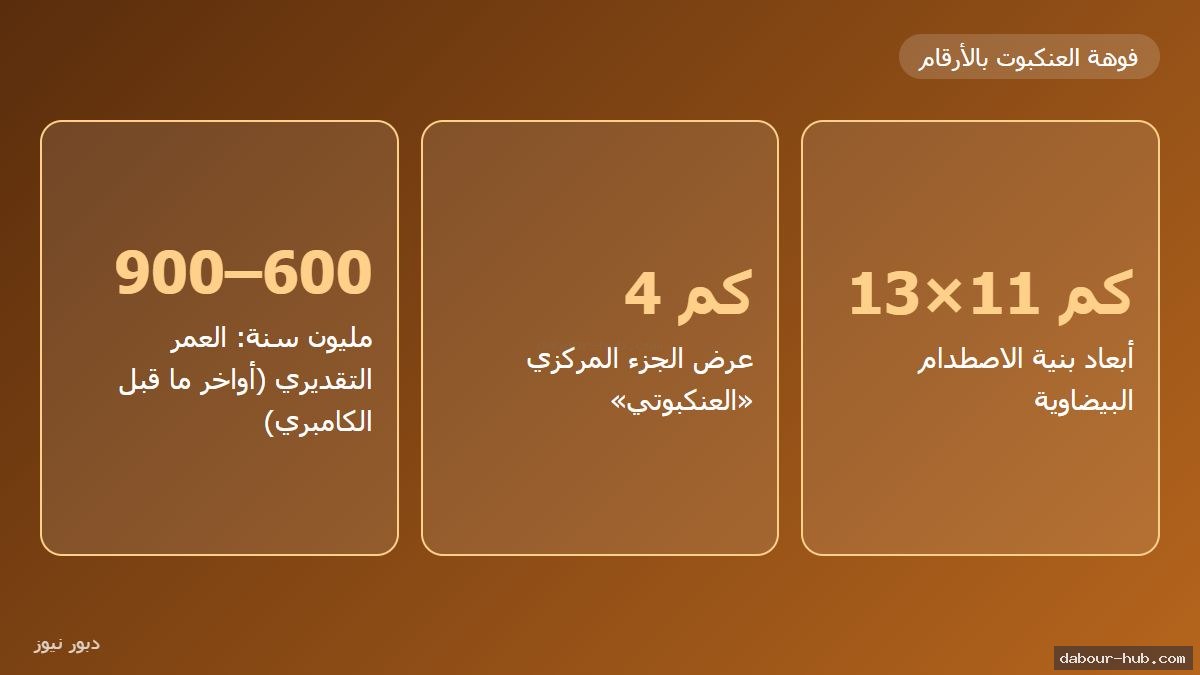إنفوجرافيك أرقام فوهة العنكبوت: الأبعاد 13 في 11 كم والعمر 600 إلى 900 مليون سنة