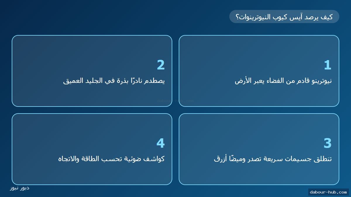 إنفوجرافيك خطوات رصد النيوترينوات في مرصد آيس كيوب
